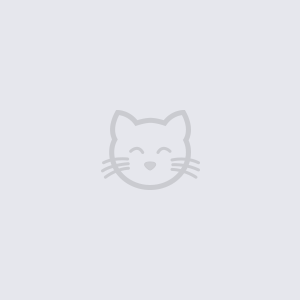 Brad Kitt