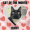 Duffy RM