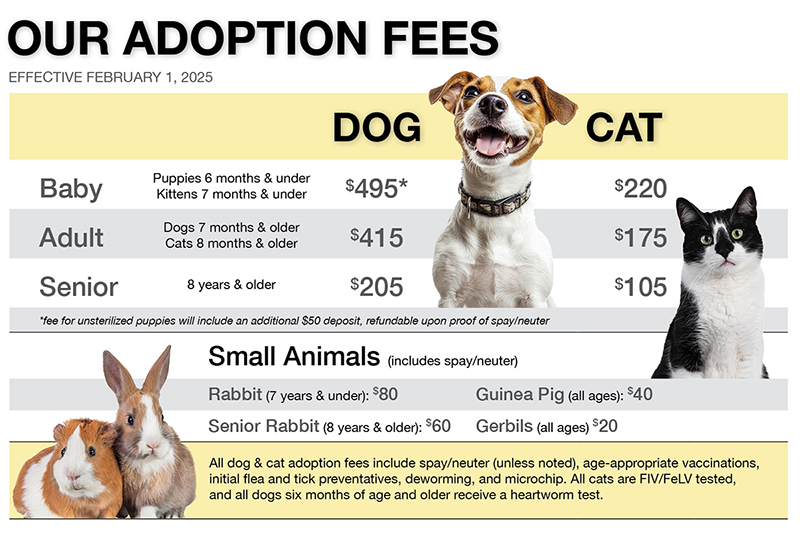 FEES