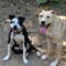 Layla Momma Dessin
