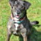 Ollie (Noah) Alabama