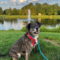 Ollie (Noah) Alabama