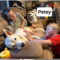 Petey Dixon