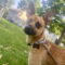 Prospect GCH