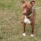 Rosie Louisiana